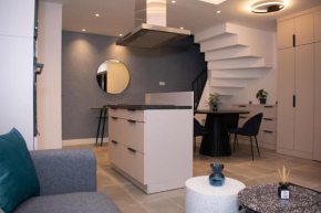 Luxury Cozy 2 BDR Downtown Apt.4